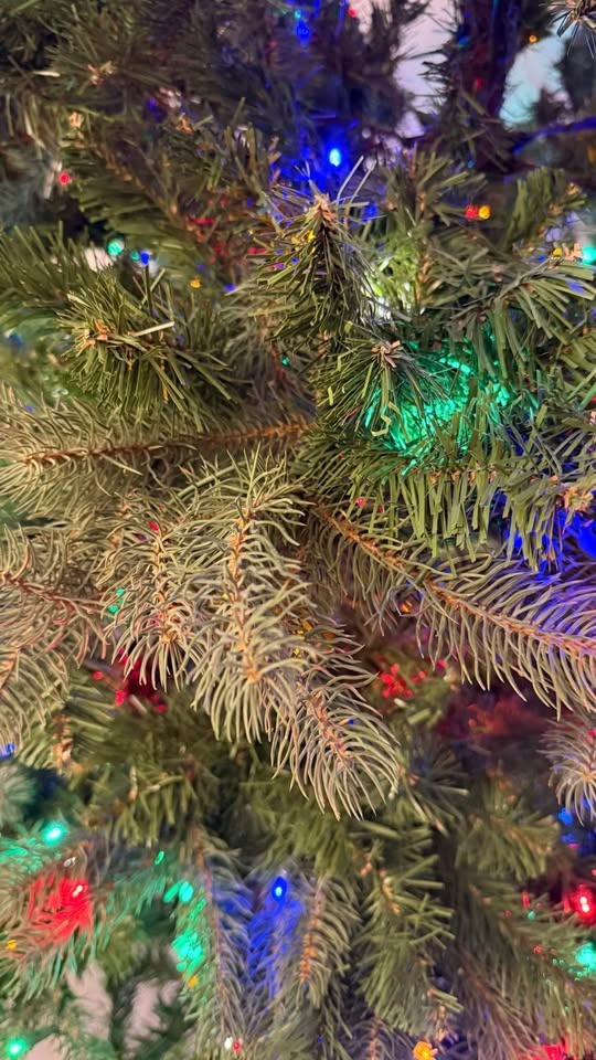 Christmas tree 7,5 fit - photo 3