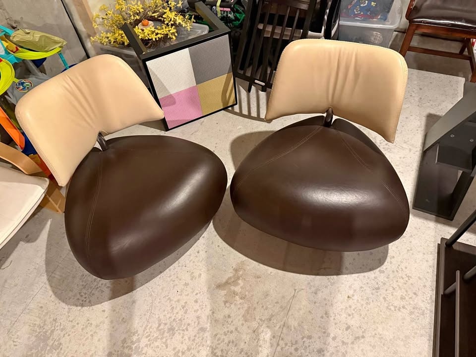 Leolux Designer Chair