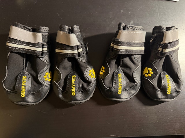 Dog boots for large dog