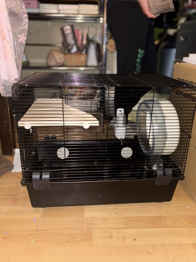 Hamster cage + accesories