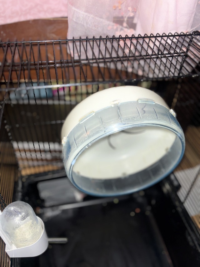 Hamster cage + accesories - photo 4