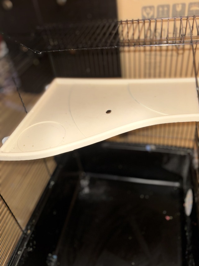 Hamster cage + accesories - photo 5