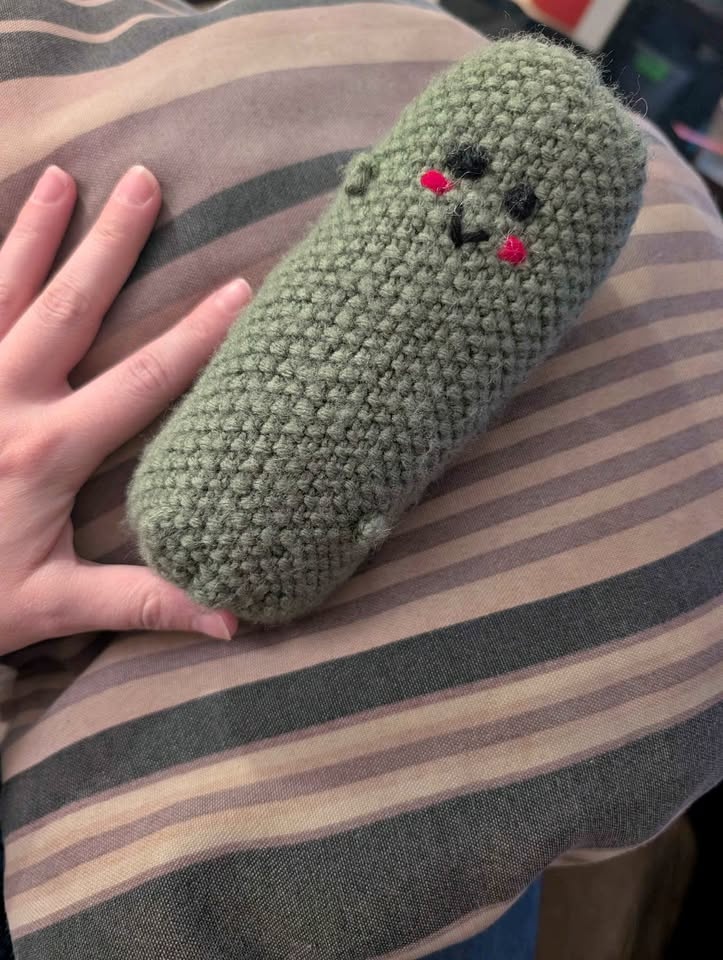 Pickle Toy