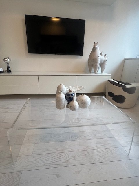 CB2 Acrylic Peekaboo Coffee Table (21.5"x36.5") Discontinued Ite - photo 3