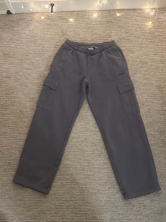 Aritzia Cargo Sweatpants