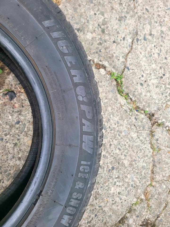 Tiger paw tires