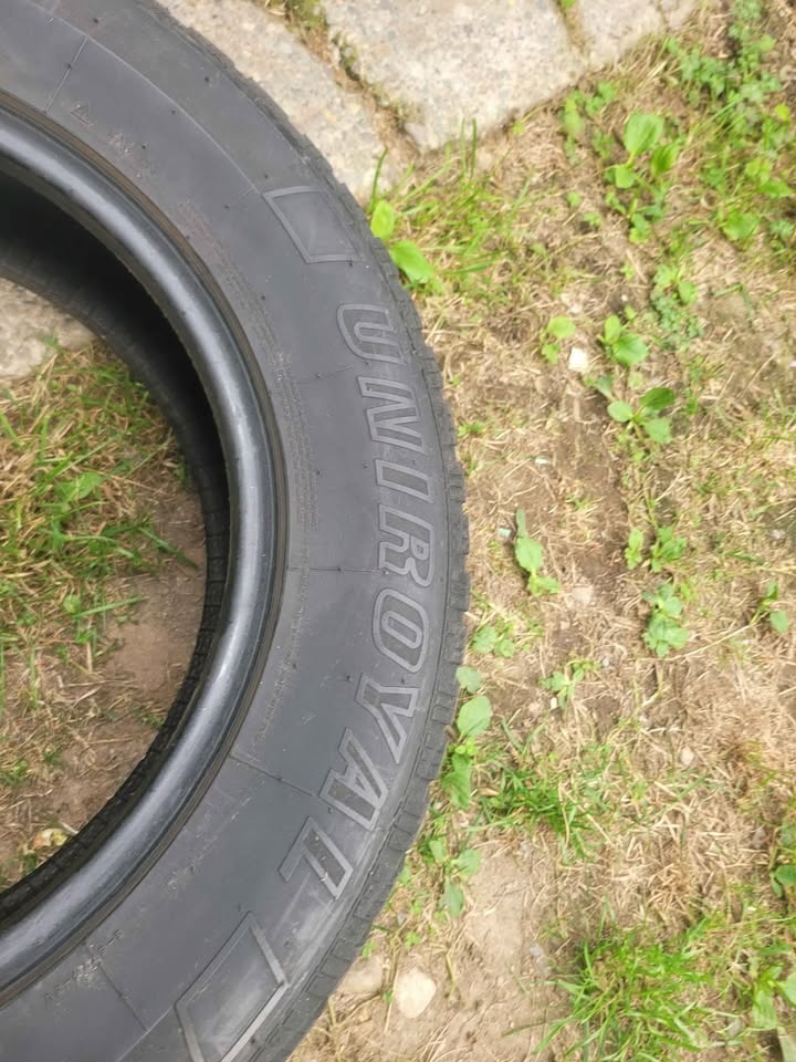 Tiger paw tires - photo 3