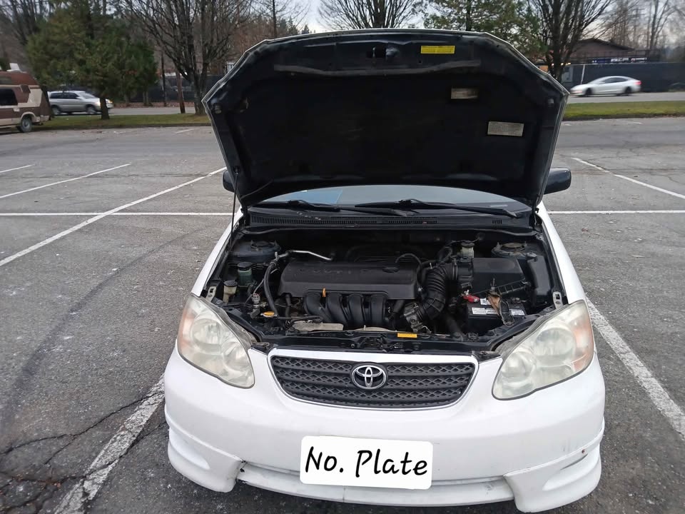 2008 Toyota Corolla - photo 4