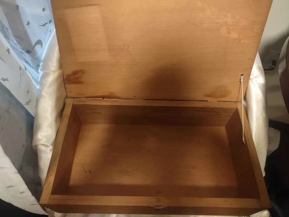 Native box hand painted 🥕 image indicator(4)