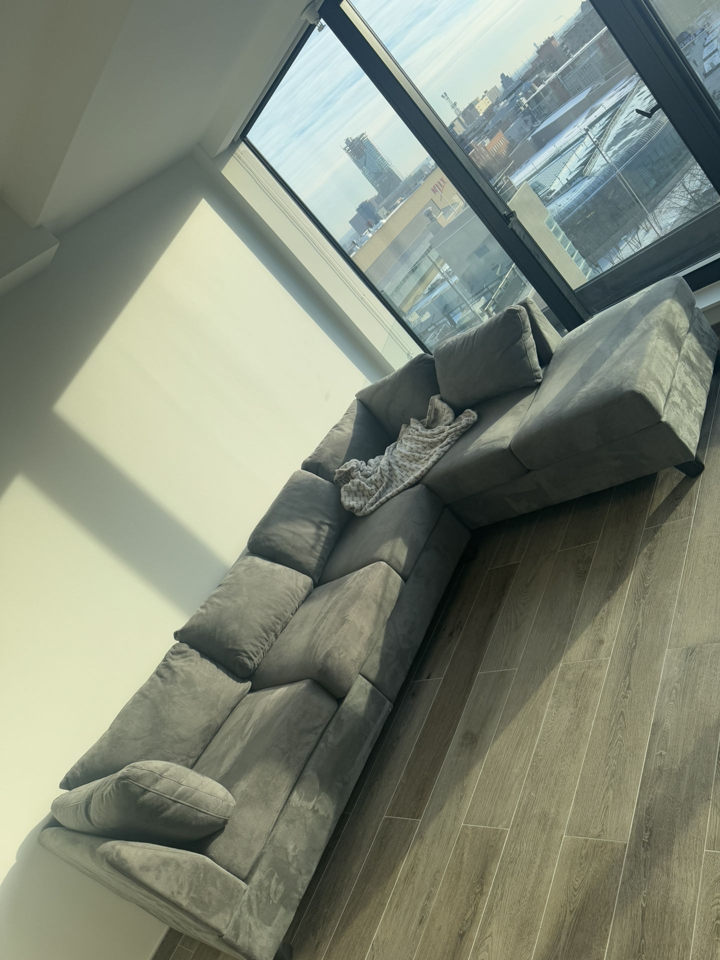 Grey Sectional Couch