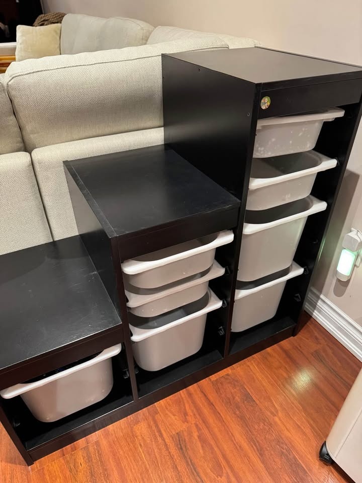 Ikea TROFAST Shelving Unit + Bins