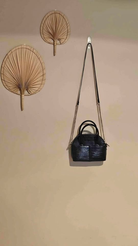 ZARA Crocodile Bag