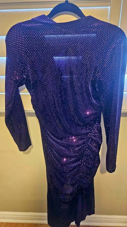 Zara dress