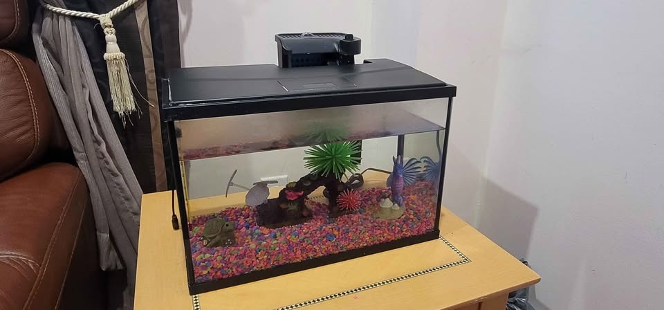 Top Fin Essentials Aquarium Starter Kit - 5 Gallon - photo 2