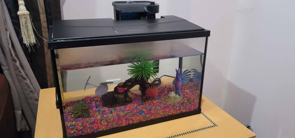 Top Fin Essentials Aquarium Starter Kit - 5 Gallon - photo 3