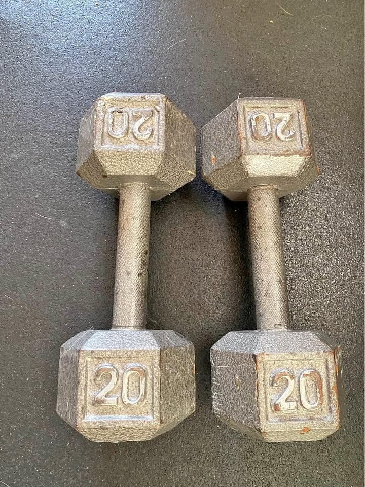 20 lbs dumbbells