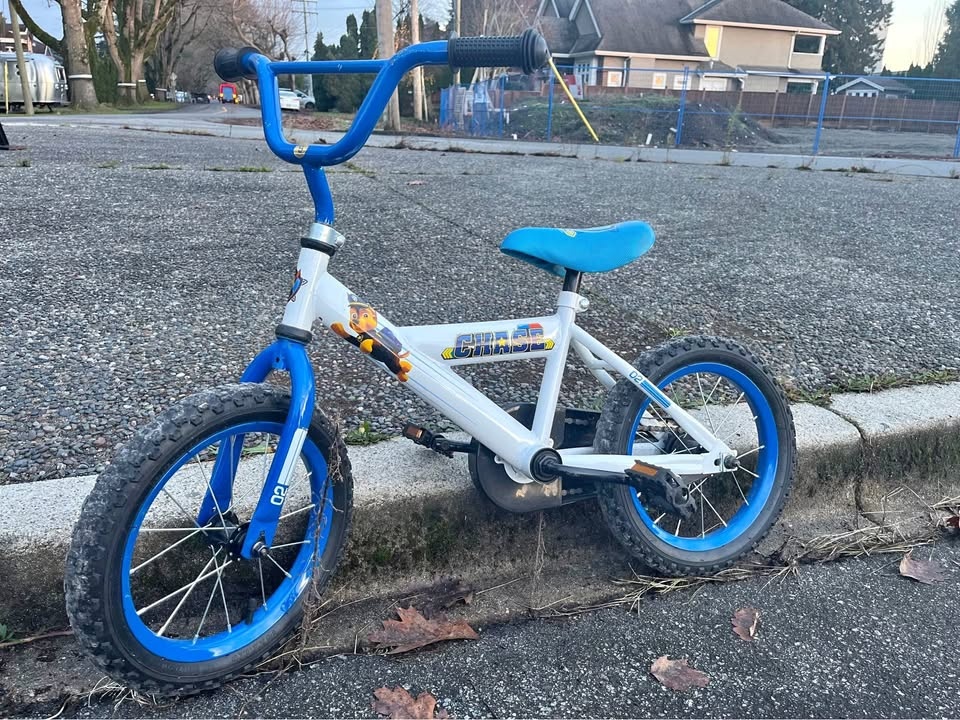 Bicycle for young kids 3-7 years old