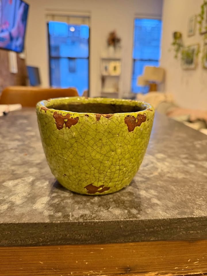 4inch green ceramic pot from Anthropologie