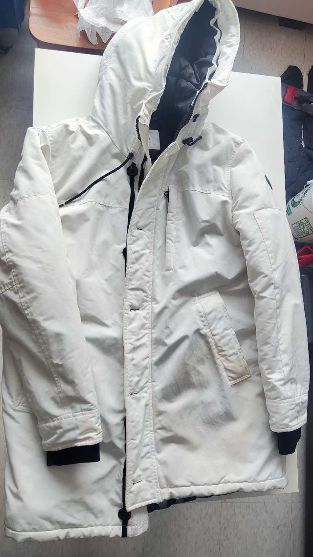 CK women cotton coat/Marmot 700 fill down