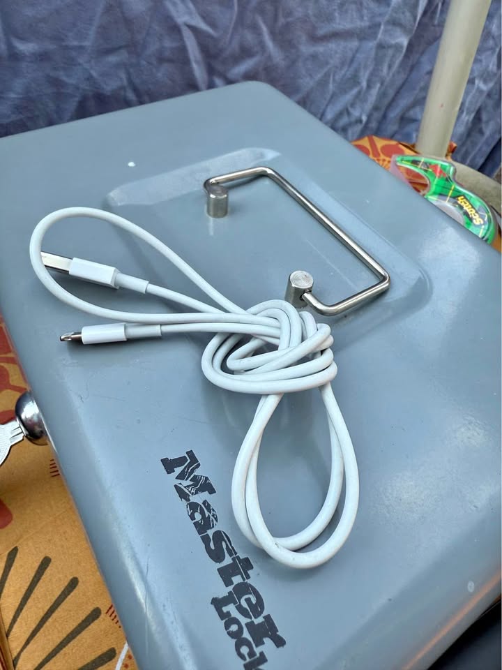 Apple iPhone charger for $.50