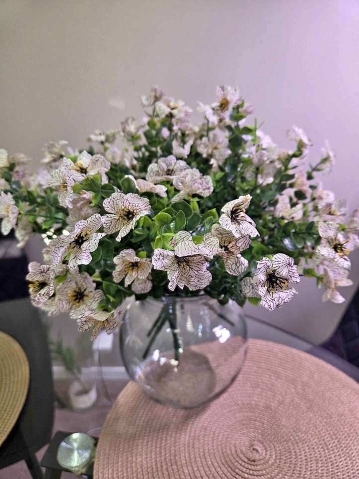 Petunia, 1 plant — $4