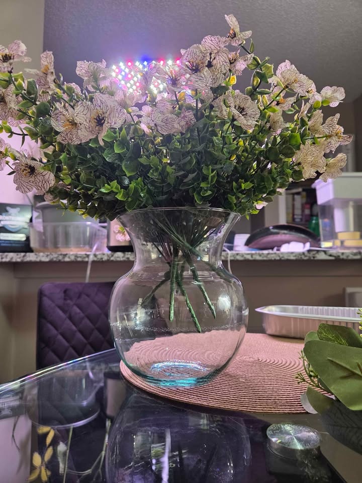 Petunia, 1 plant — $4 - photo 3