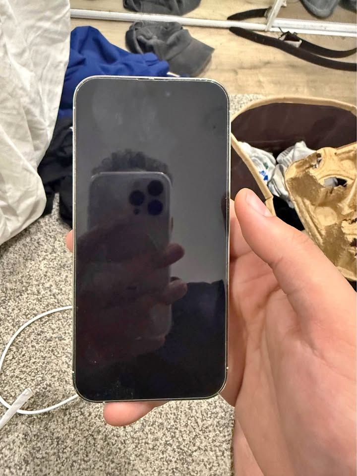 iPhone 14 Pro Max