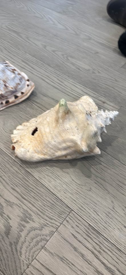 Aquarium Decorations - photo 2