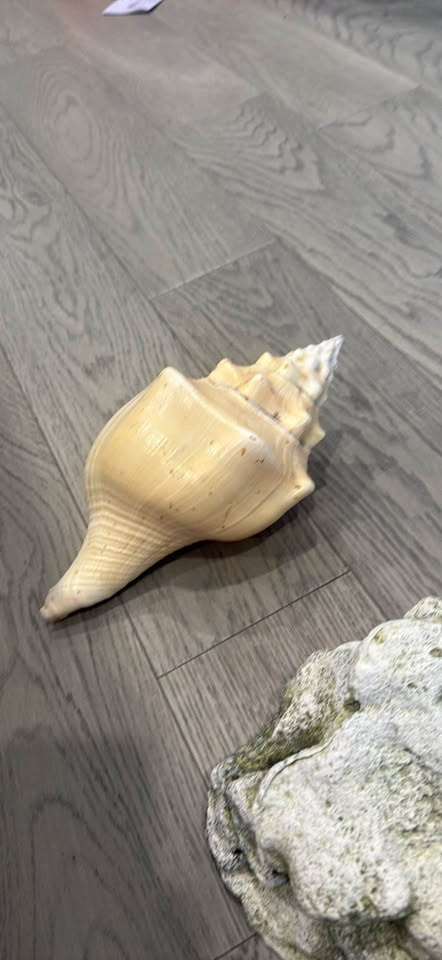 Aquarium Decorations - photo 4