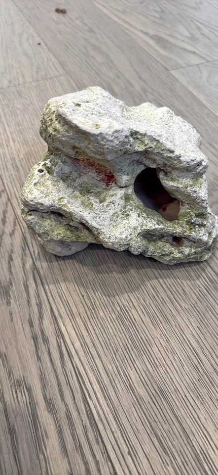 Aquarium decoration