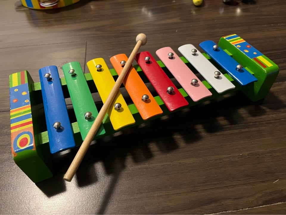 Musical instruments set for young kids - photo 2