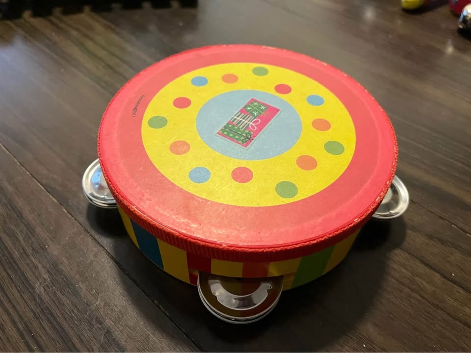Musical instruments set for young kids - photo 3