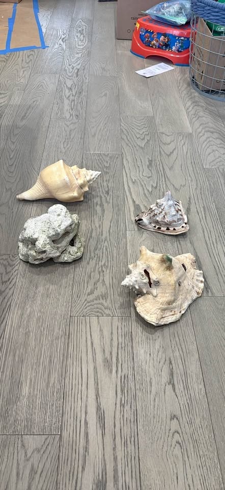 Aquarium Decorations