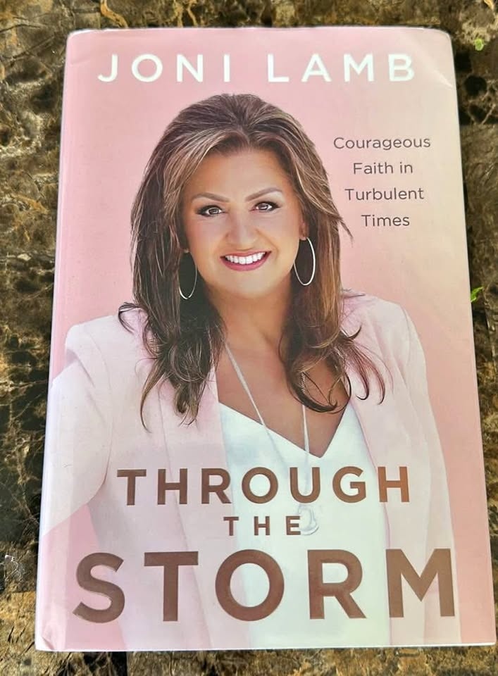 Through the Storm
