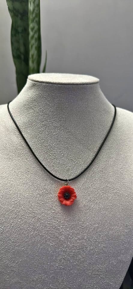 Cute poppy flower