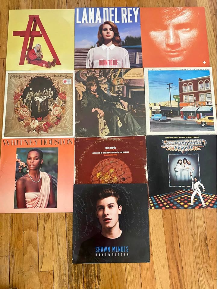 Lot of Vinyl Records (best offer takes all)