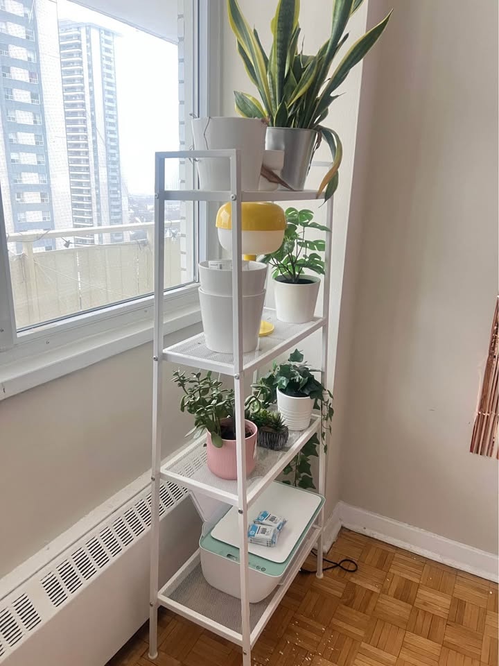 White Rack - photo 4