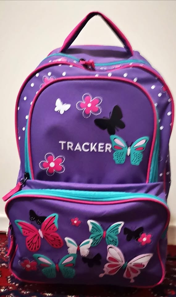 Kids Wheeled Backpack Set