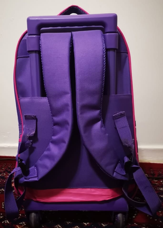 Kids Wheeled Backpack Set - photo 3