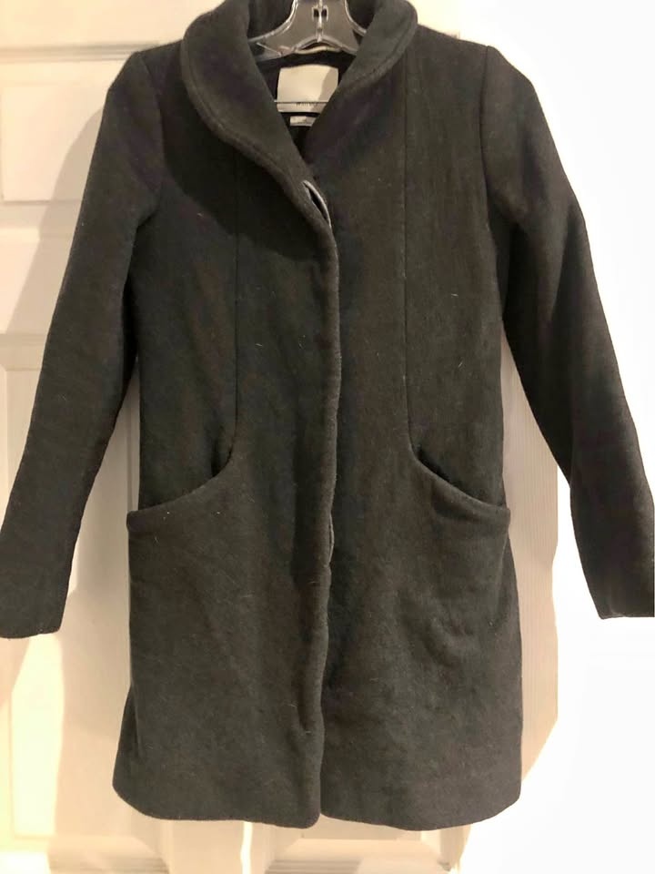 Aritzia grey wool coat