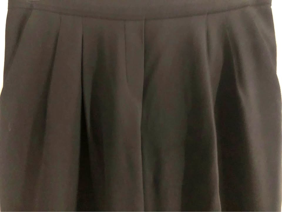 Aritzia Japanese silk black pants
