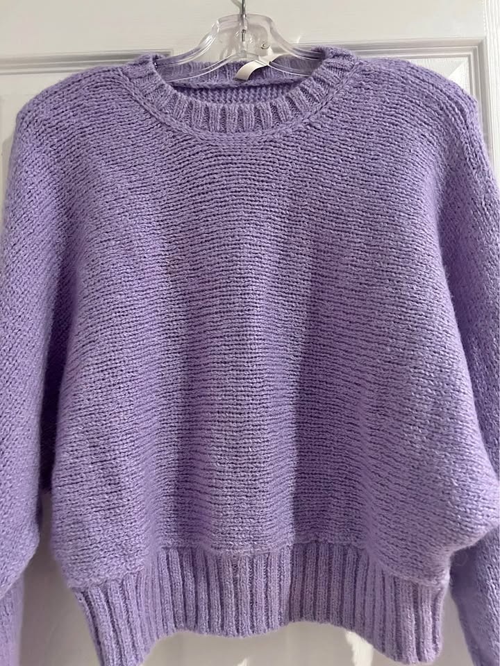 Babaton for Aritzia sweater XS