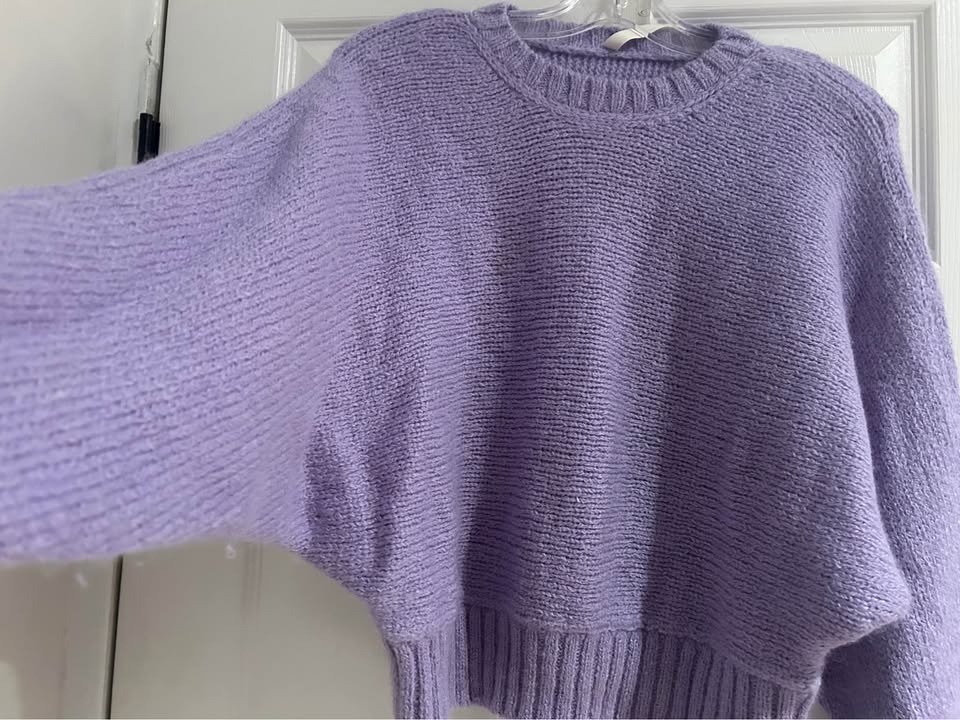 Babaton for Aritzia sweater XS - photo 2