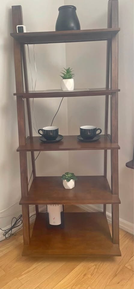 Ladder Bookshelf