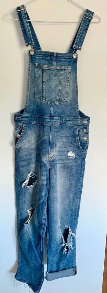 Denim Overalls