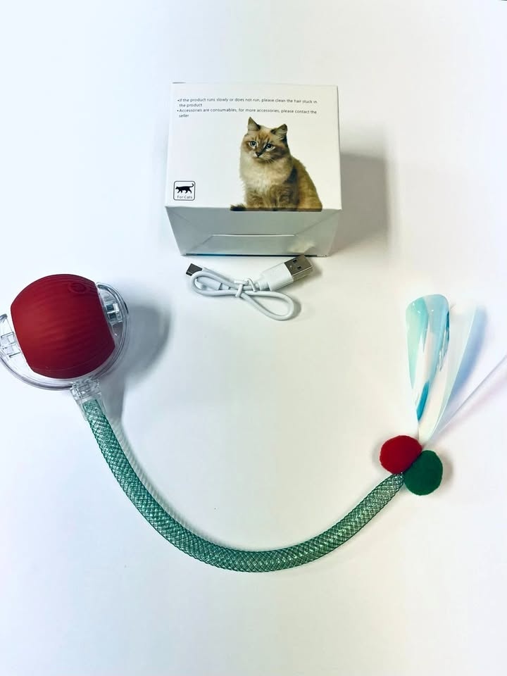Red Interactive Cat Toy Ball – Smart Fun for Your Furry Friend!