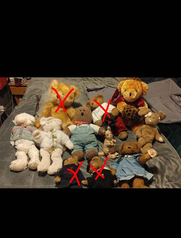 Vintage, plush, collectible teddy bears. $2 ea.