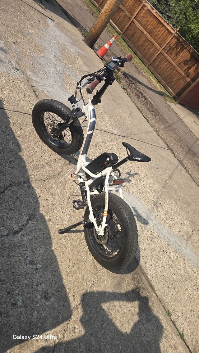Ebike rad