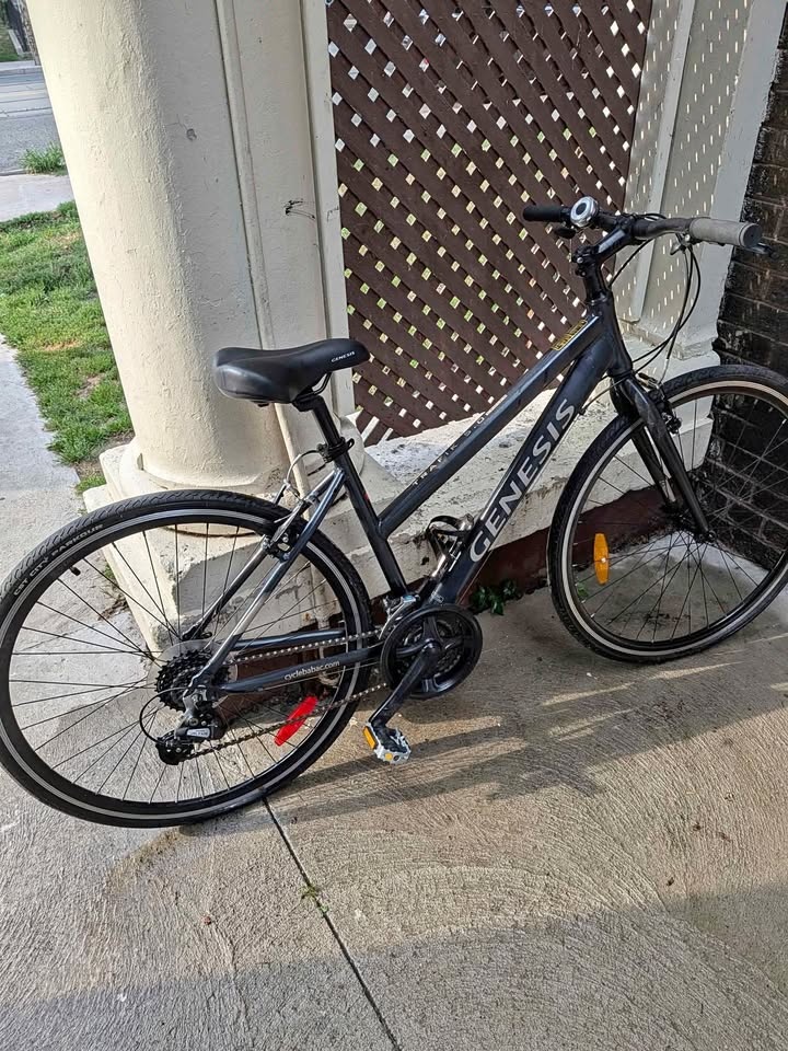 Genesis Trafik 5.0 Ladies Bike