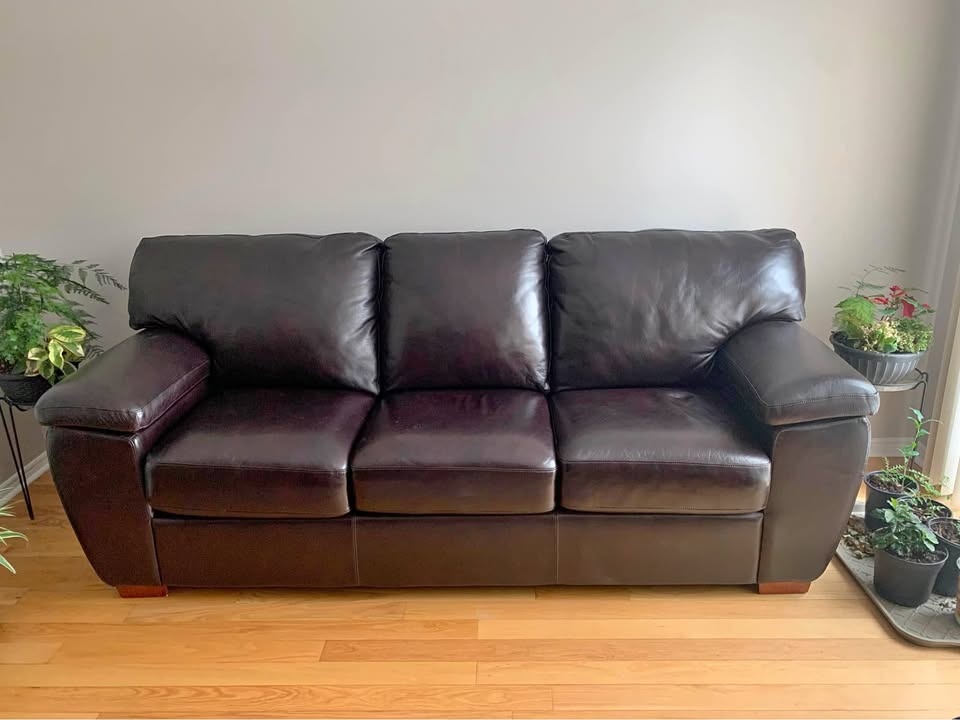 Leather Couch